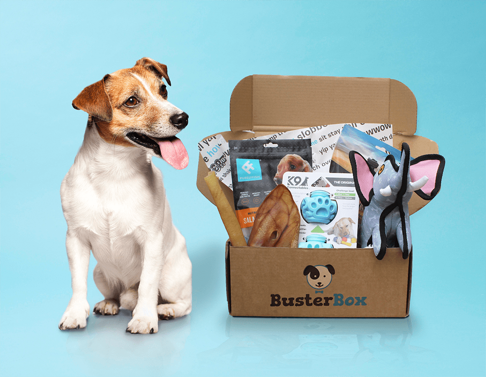 Buster Box