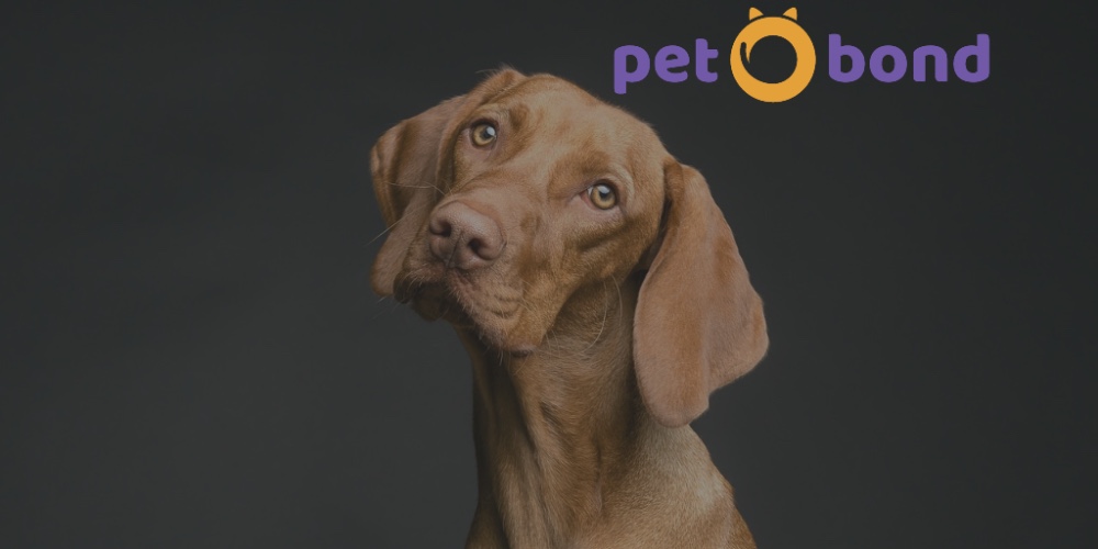 PetBond
